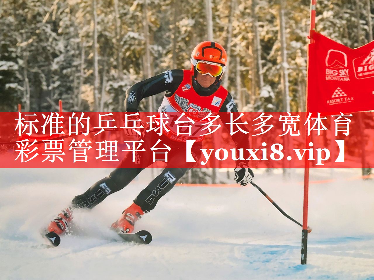 标准的乒乓球台多长多宽体育彩票管理平台