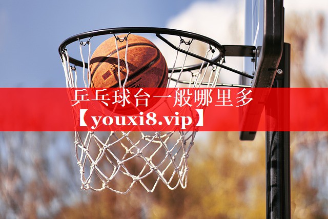 乒乓球台一般哪里多