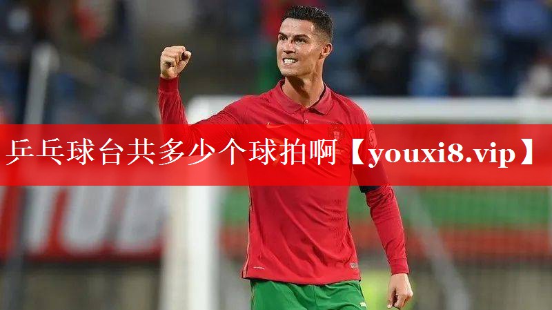 乒乓球台共多少个球拍啊
