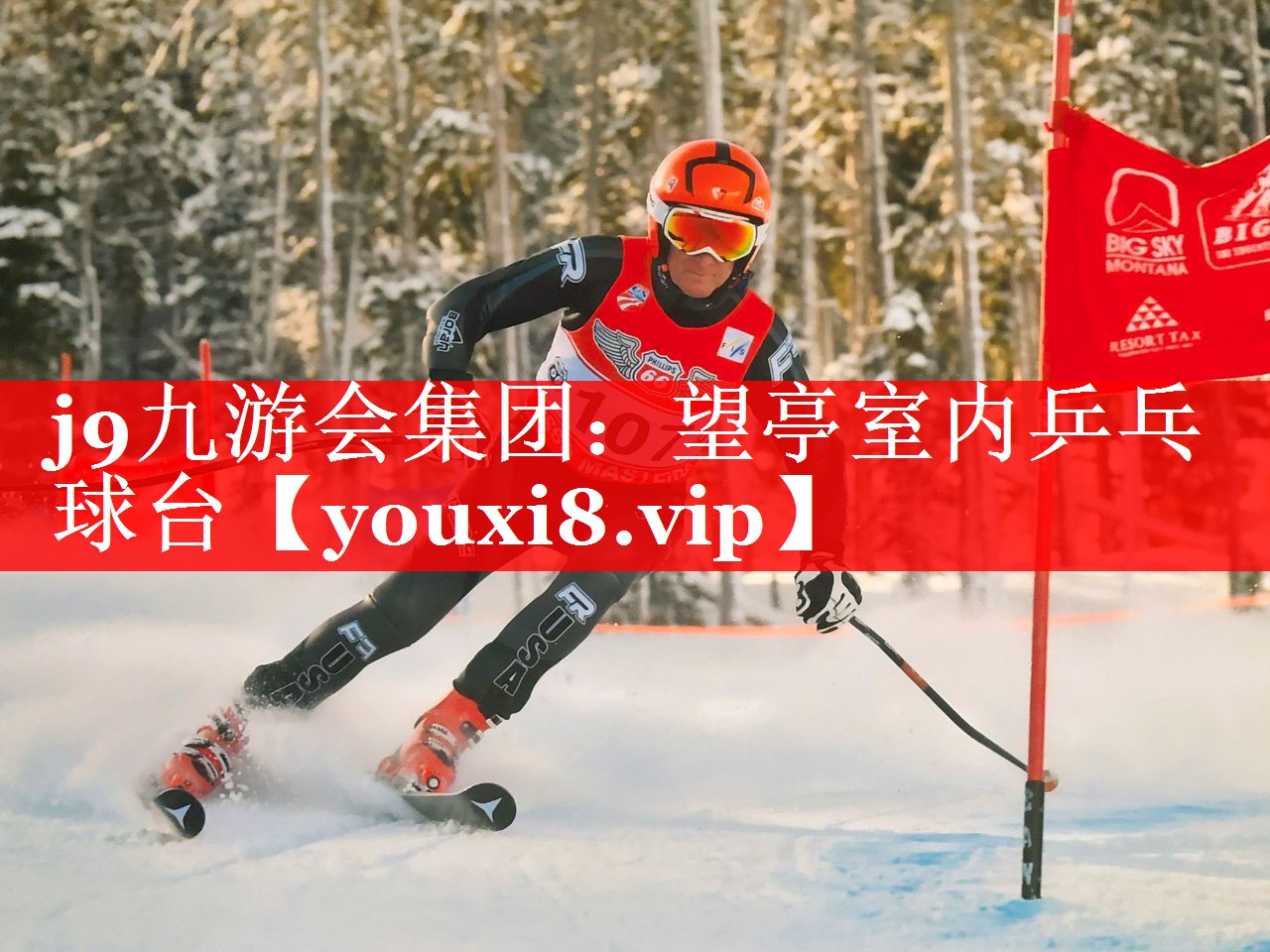 望亭室内乒乓球台 望亭室内乒乓球台